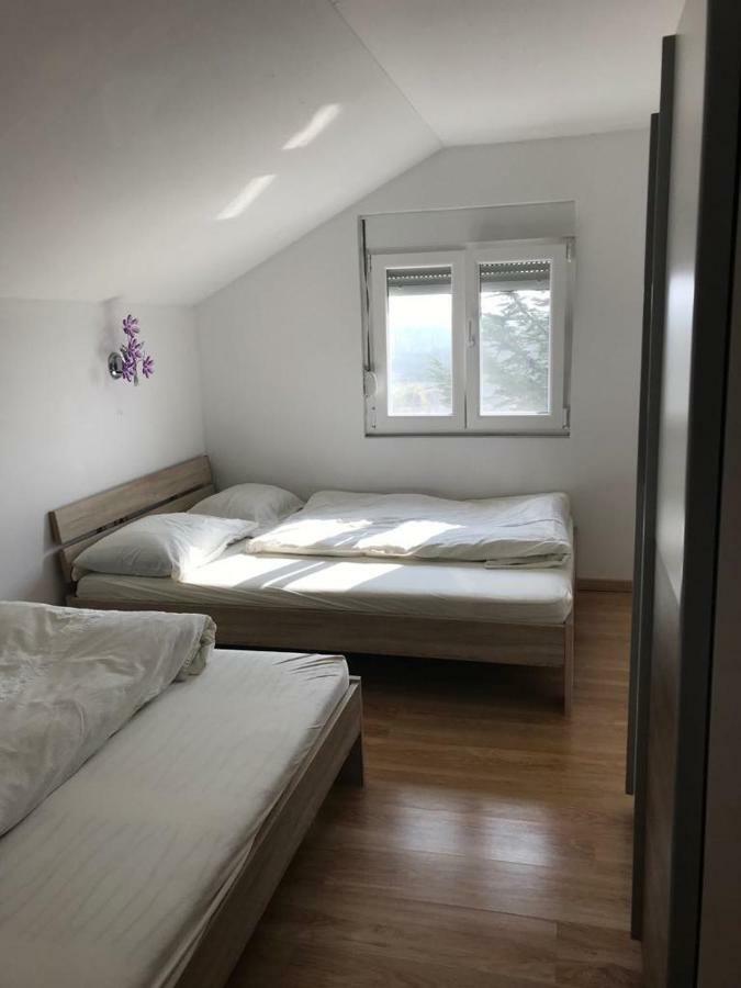 Apartmani Livk Debeljak Eksteriør bilde